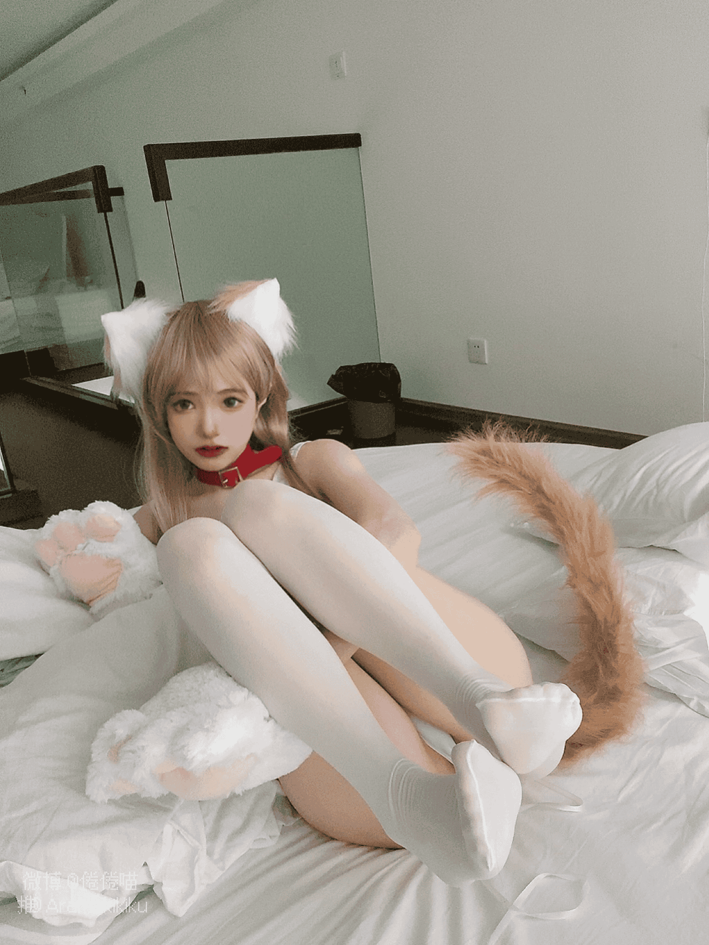 倦倦喵 - 猫爪比基尼少女 第12张图片